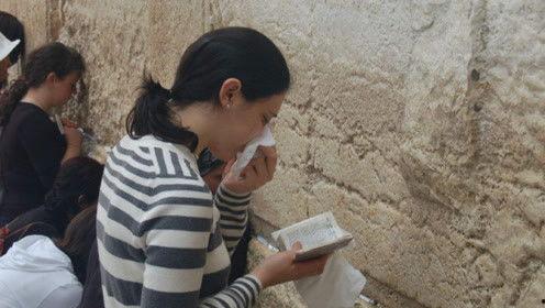 娱乐界的吃瓜君