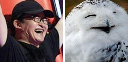 刘欢甩头表情包