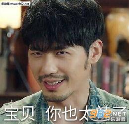 鸭子冲呀的表情包,鸭子冲呀！表情包背后的欢乐与智慧